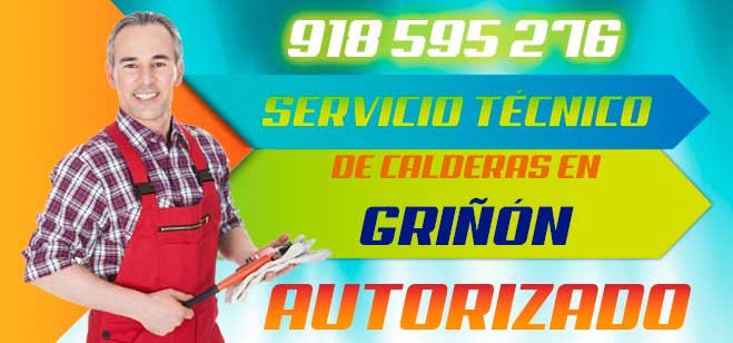 Servicio tecnico de calderas en Griñon