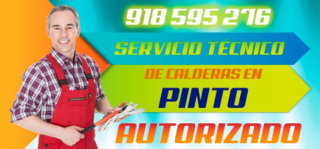 Servicio tecnico de calderas Pinto