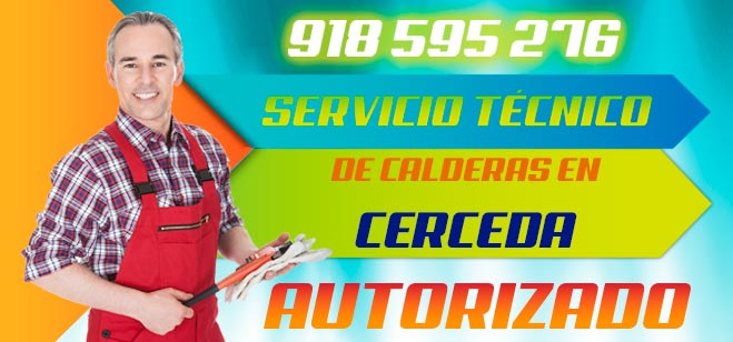 Servicio tecnico de calderas Cerceda