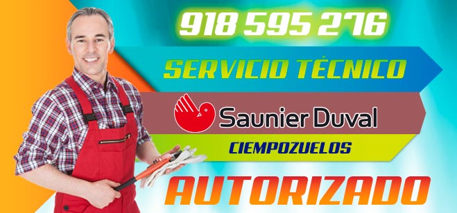 Servicio Tecnico Saunier Duval Ciempozuelos