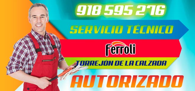 Servicio Tecnico Ferroli Torrejon de la Calzada