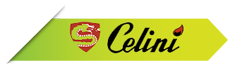 Servicio técnico Calderas Celini en Madrid