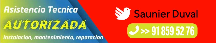 Asistencia técnica Saunier Duval