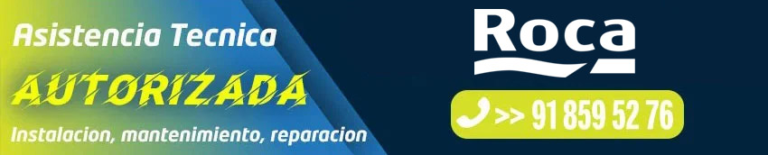 Asistencia técnica Roca